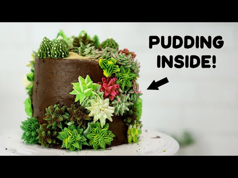 I Made a Succulent Cake and filled it with Pudding!!