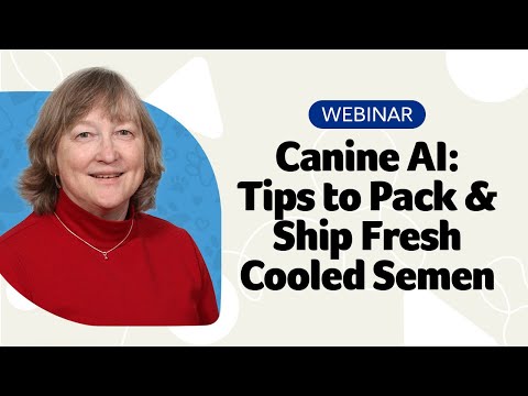 Canine AI: Tips to Pack & Ship Fresh Cooled Semen Webinar