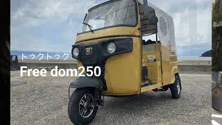 トゥクトゥク紹介動画　【FREE DOM250】