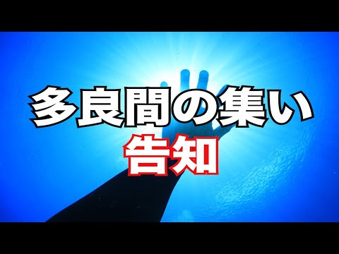 【告知】多良間の集いinとんかつぼたん