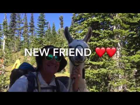 Medicine Man aka Dr Stephen Blake back on the Pacific Crest Trail July 2018 and sharing his continu