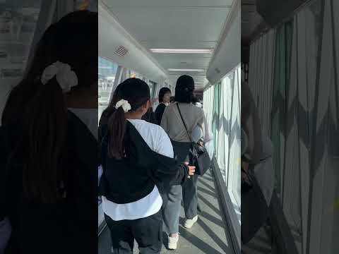 【香港】空から見る旅した香港の美しい景色！笑顔で帰りの飛行機も満喫 #切り抜き #shorts #旅行 #香港 #english #教育 #香港国際空港