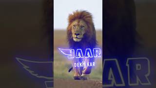 Lion Attitude shayari status Shayari status Attitude shayari #youtubeshorts#viral#shayari#shorts