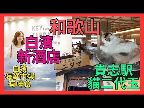 [大阪 和歌山 美食攻略 白濱新酒店開箱 貴志駅找貓駅長二代玉] 白濱海鮮市場有咩食| 円月島| 千畳敷| 即捉活魷魚刺身| 公仔南紀荘| 活魚料理生蠔鮑魚| 大阪高空A3和牛shabu shabu