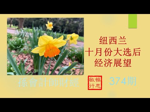 纽西兰十月份大选后经济展望 #【孫會計師財經周刊】第374 期 （2023.9.3）