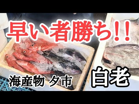 【北海道】人気店！海産物夕市へ🐟即決が大事⁉︎年末年始情報も☝🏻