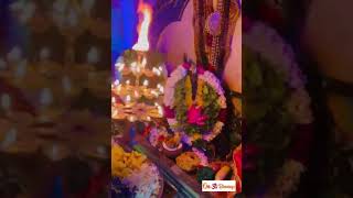 Goddess Amman Special puja @ Sri Dhana Lakshmi Maha Devasthanam, Sri Lanka