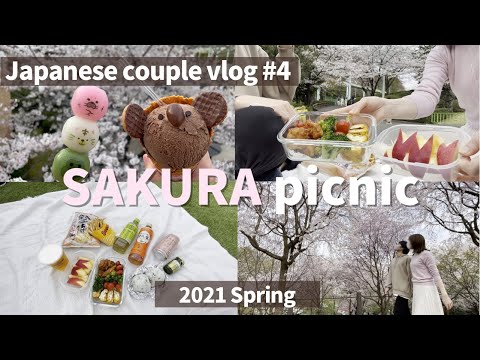 Sakura Picnic at a Zoo│Making Japanese Bento box