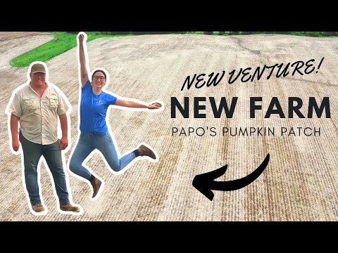 Young Couple takes BIG RISK and BUYS A NEW FARM! - But why?