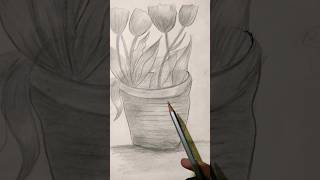 flower pot drawing.             like and subscribe 😊 #drawing