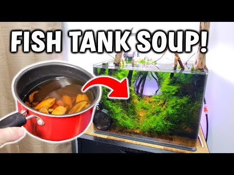 I Made FISH TANK SOUP... (here's why)