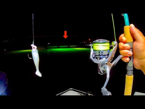 THIS is the Dock Light Fish I Wanted...[Catch, Clean, Cook]