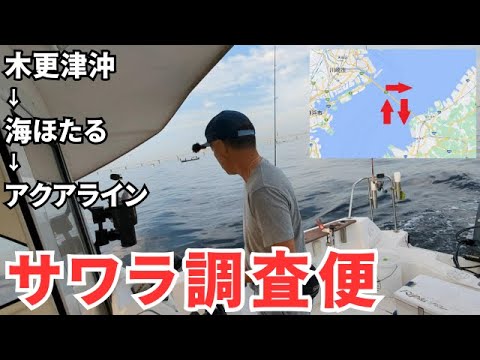 【東京湾】2023年9月サワラ調査便　木更津沖→海ほたる→アクアライン