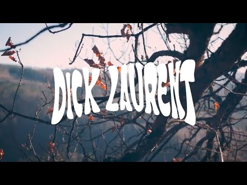 Dick Laurent - Melted