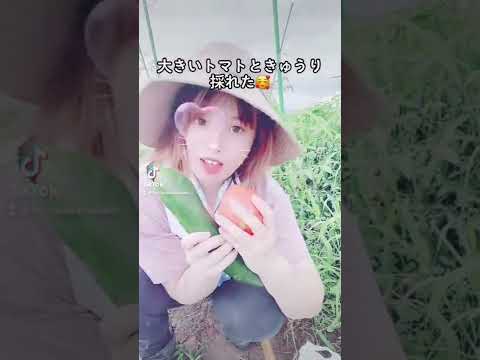 きゅうりとトマト🥒🍅