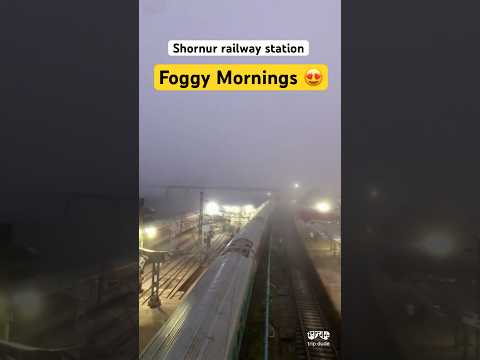 😳Beautiful Shornur Railway Station covered with Fog 😍 Morning Vibes #travel #railwaystation