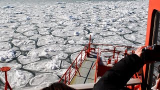 接岸した流氷と砕氷観光船ガリンコ号