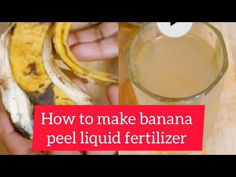 Make your own LIQUID FERTILIZER easily at home#youtubevideo#gardeningtips #diy#fertilizer#yt#youtube