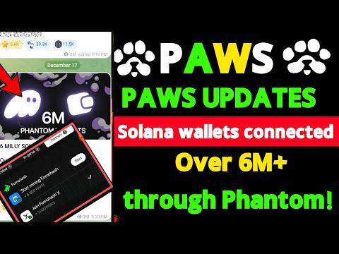 PAWS Update today ! PAWS Solana wallets connected through Phantom Over 6M+! paws airdrop!!