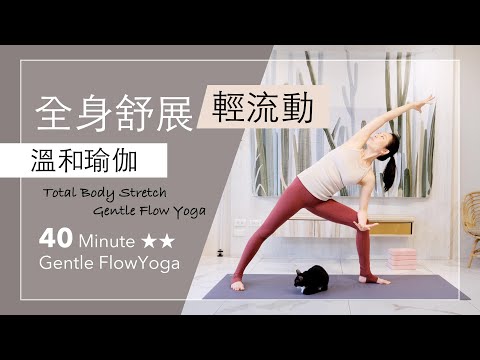 全身舒展/輕流動【溫和瑜伽】Gentle Flow Yoga ★ ★ #4k畫質 #流動瑜珈 #字幕 Total Body Stretch