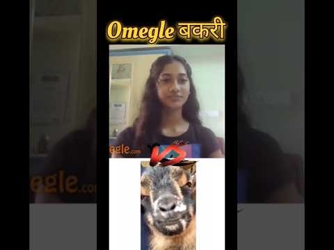 Omegle बकरी 🤣🐐🐐  funny#viral #ytshorts #trending #youtube #yt #trendingshorts#omegleprank#