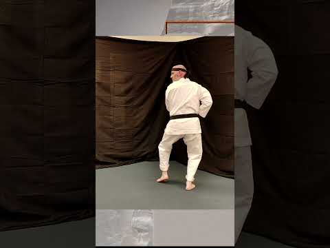 Pinan #1 - A Dojo Drill of Dale Jenkins Lineage #karate #pinan #dalejenkins