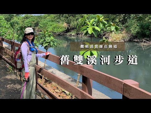 觀稻浪賞綠色隧道｜北投舊雙溪河步道、洲美蜆仔港公園、舊雙溪河｜三個蛋糕cakethree