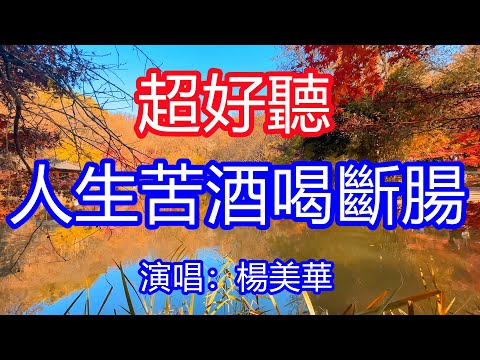 天呀！太好聽了，楊美華超火傷感情歌《人生苦酒喝斷腸》，回首過往不由淚眼眶，多想醉了之後不憂傷！讓你一聽就忘不掉的催淚神曲，唱的撕心裂肺，聽得痛哭流涕！南京風景！傷感情歌！療癒情歌！