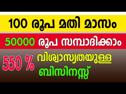 വെറും 100 രൂപ കൊണ്ടൊരു ബിസിനസ്സ് ആരംഭിക്കാം Low cost business ideas Malayalam 2024