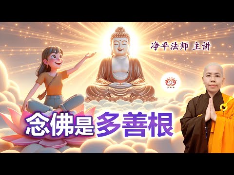 念佛是多善根｜净平法师主讲