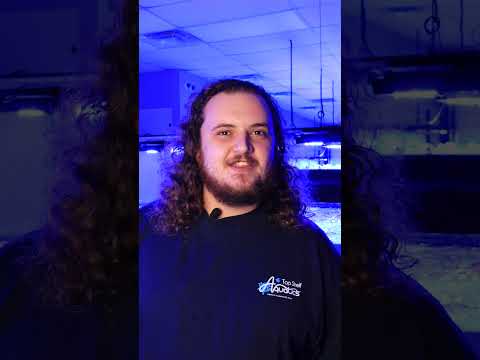 Meet The Team Behind Top Shelf: Ben! #coral #aquarium  #behindthescenes