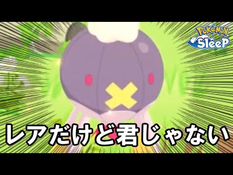 クワガノン・・・どこ？【ポケモンスリープ】