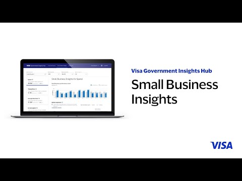 Visa Government Insights Hub - Small Business Insights