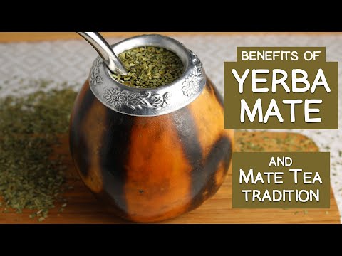 YERBA MATE Tea - A South American Tradition