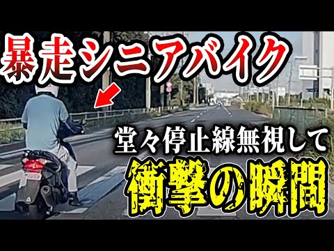 【ドラレコ】老害バイクじじいが堂々と信号無視した結果【交通安全推進、危機予知トレーニング】【スカッと】