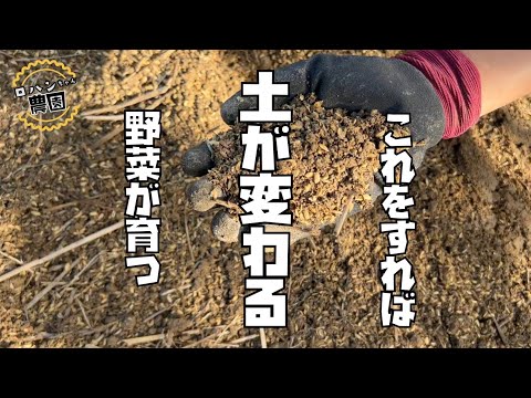 【土づくり】これをすれば微生物が爆増！？微生物を増やしてフッカフカの畑にしたい！【米ぬか】【もみ殻】【稲わら】で簡単土づくり！！【農家の家庭菜園】