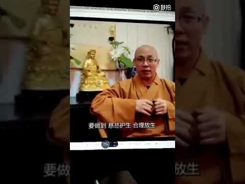 法师谈放生，说的很有道理，那些“假慈悲”...