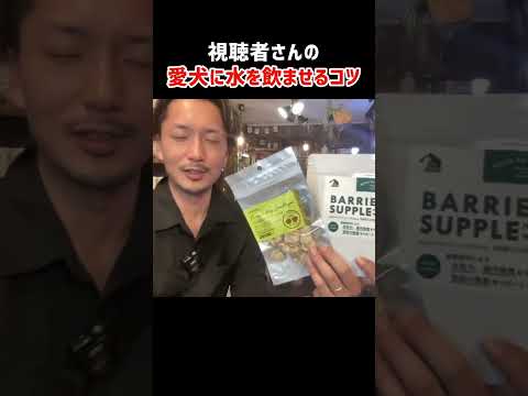 視聴者さんたちの愛犬に水を飲ませる工夫がすごい！