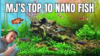 Top 10 Nano Fish for Your Aquarium!