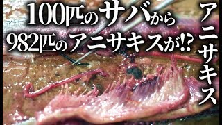 アニサキスの見つけ方と除去や対策や予防