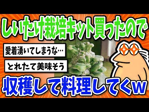 【2ch面白いスレ】しいたけ育てたから収穫して料理していくｗｗ【グルメ料理】