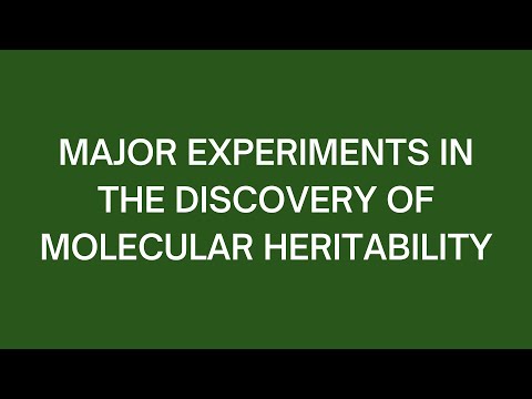 Major Experiments in the Discovery of Molecular Heritability