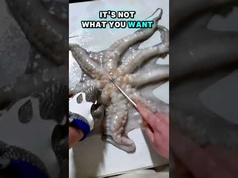 #howto skin a #octopus #skinning #fishing #bait #baitfishing #fishingaustralia