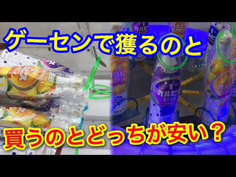 【検証】ゲーセンで獲るのと買うのではどっちが安い？！