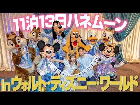 【ハネムーン】8年ぶりにウォルトディズニーワールドに行ってきた【フロリダ】