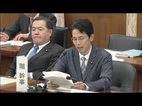 階猛　衆議院 憲法審査会　20231130