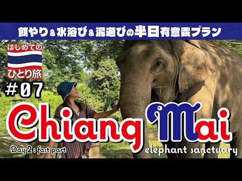 ◈ タイひとり旅 #07◈ 象さんと水浴び&泥遊び！初パッタイに感動︙エレファントサンクチュアリ︙📍タイ | チェンマイ| Thailand