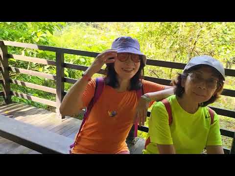 A nice morning walk to Macritchie Reservoir [ 090223 ]                   #macritchiereservoir