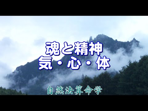 質疑応答集-21.2-魂と精神、気・心・体