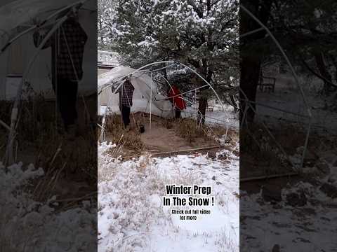 Today on the Homestead: Removing the Greenhouse Roof in the Snow! ❄️ | Winter Prep #shorts